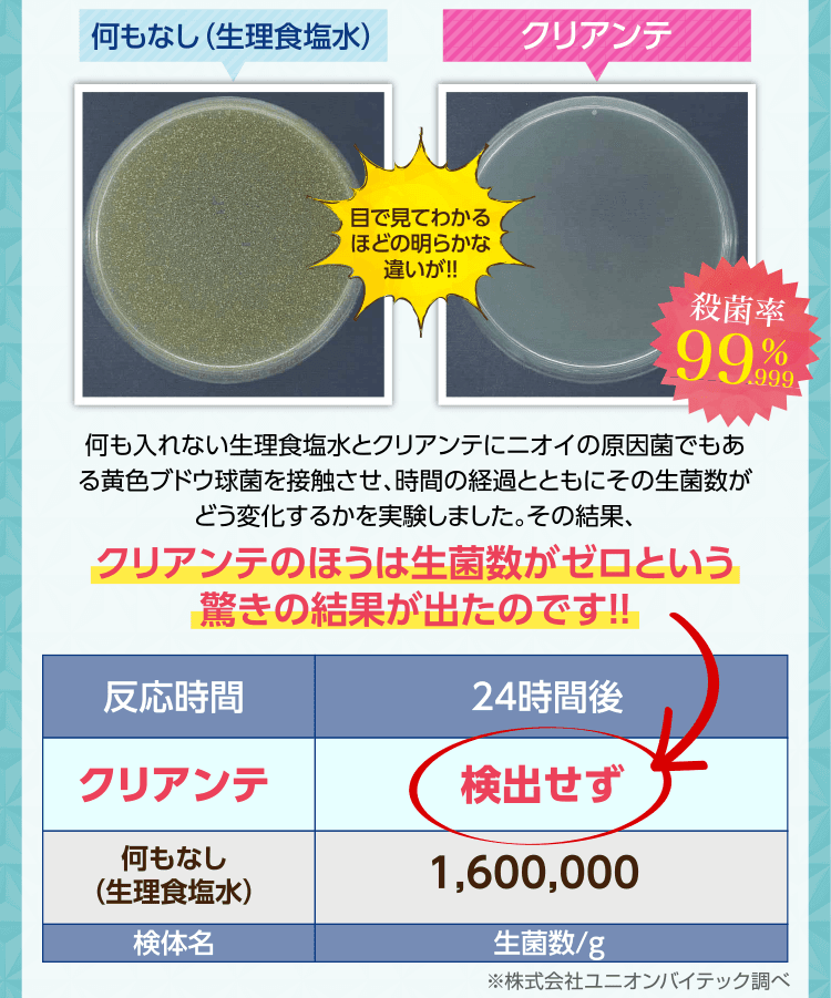 なぜ「クリアンテ」は高評価なのか？クリアンテの５つの特徴②