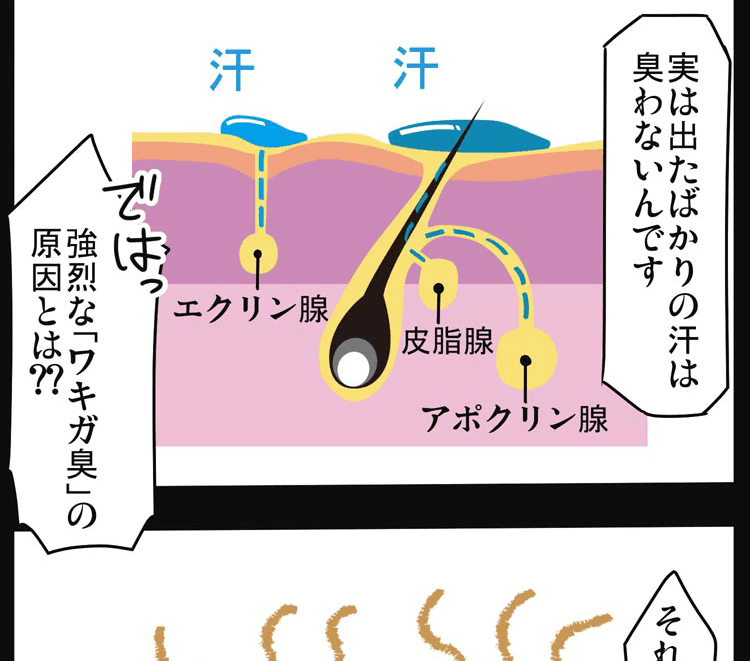 漫画画像⑨